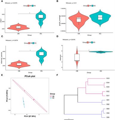 New mechanistic insights of anti-obesity by sleeve gastrectomy-altered gut microbiota and lipid metabolism